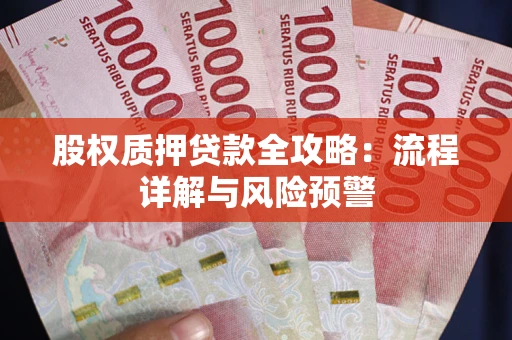 武汉股权质押贷款全攻略：流程详解与风险预警