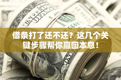 武汉借条打了还不还？这几个关键步骤帮你赢回本息！