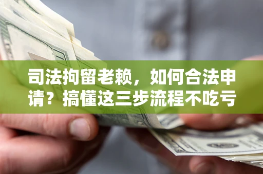 武汉司法拘留老赖，如何合法申请？搞懂这三步流程不吃亏！