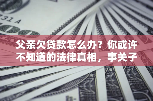 武汉父亲欠贷款怎么办？你或许不知道的法律真相，事关子女未来