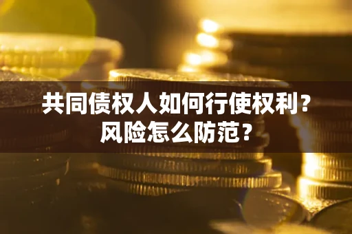 武汉共同债权人如何行使权利？风险怎么防范？
