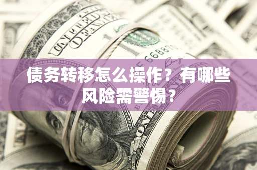 武汉债务转移怎么操作？有哪些风险需警惕？
