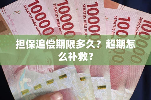 武汉担保追偿期限多久？超期怎么补救？