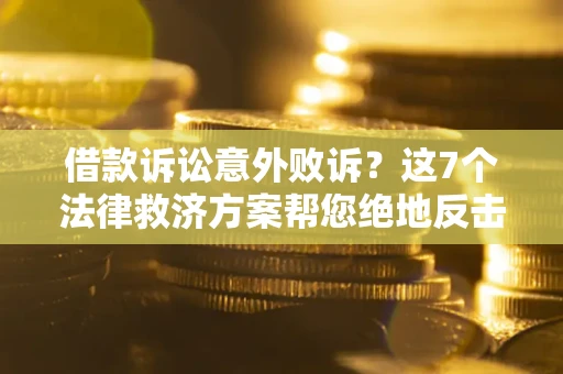 武汉借款诉讼意外败诉？这7个法律救济方案帮您绝地反击！