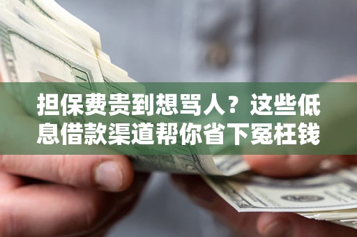 武汉担保费贵到想骂人？这些低息借款渠道帮你省下冤枉钱