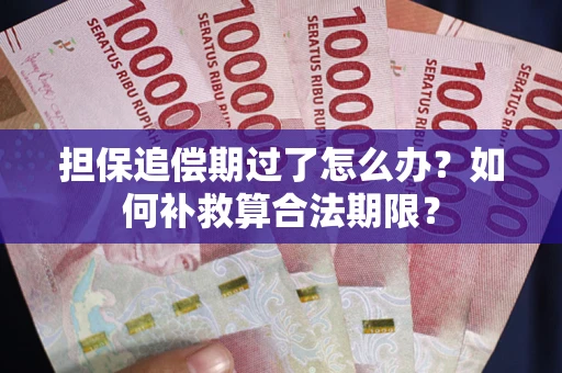 武汉担保追偿期过了怎么办？如何补救算合法期限？