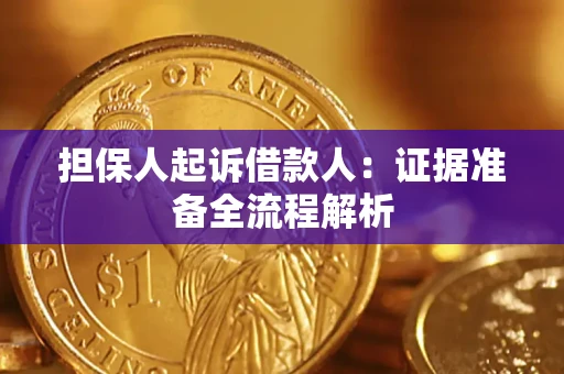 武汉担保人起诉借款人：证据准备全流程解析