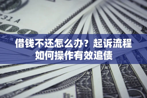 武汉借钱不还怎么办？起诉流程如何操作有效追债