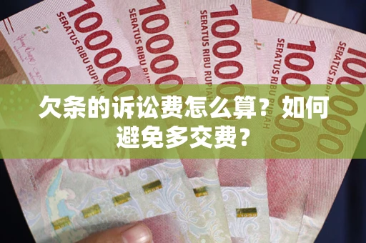 武汉欠条的诉讼费怎么算？如何避免多交费？