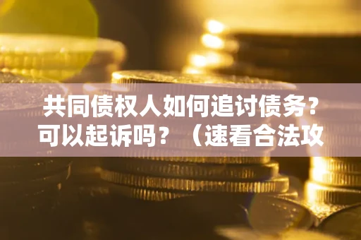 武汉共同债权人如何追讨债务？可以起诉吗？（速看合法攻略）