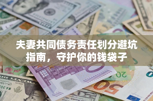 武汉夫妻共同债务责任划分避坑指南，守护你的钱袋子