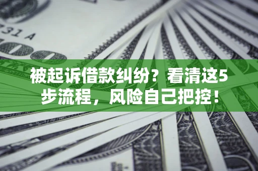 武汉被起诉借款纠纷？看清这5步流程，风险自己把控！