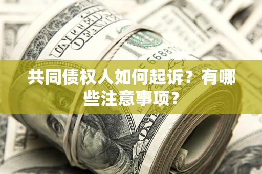 武汉共同债权人如何起诉？有哪些注意事项？